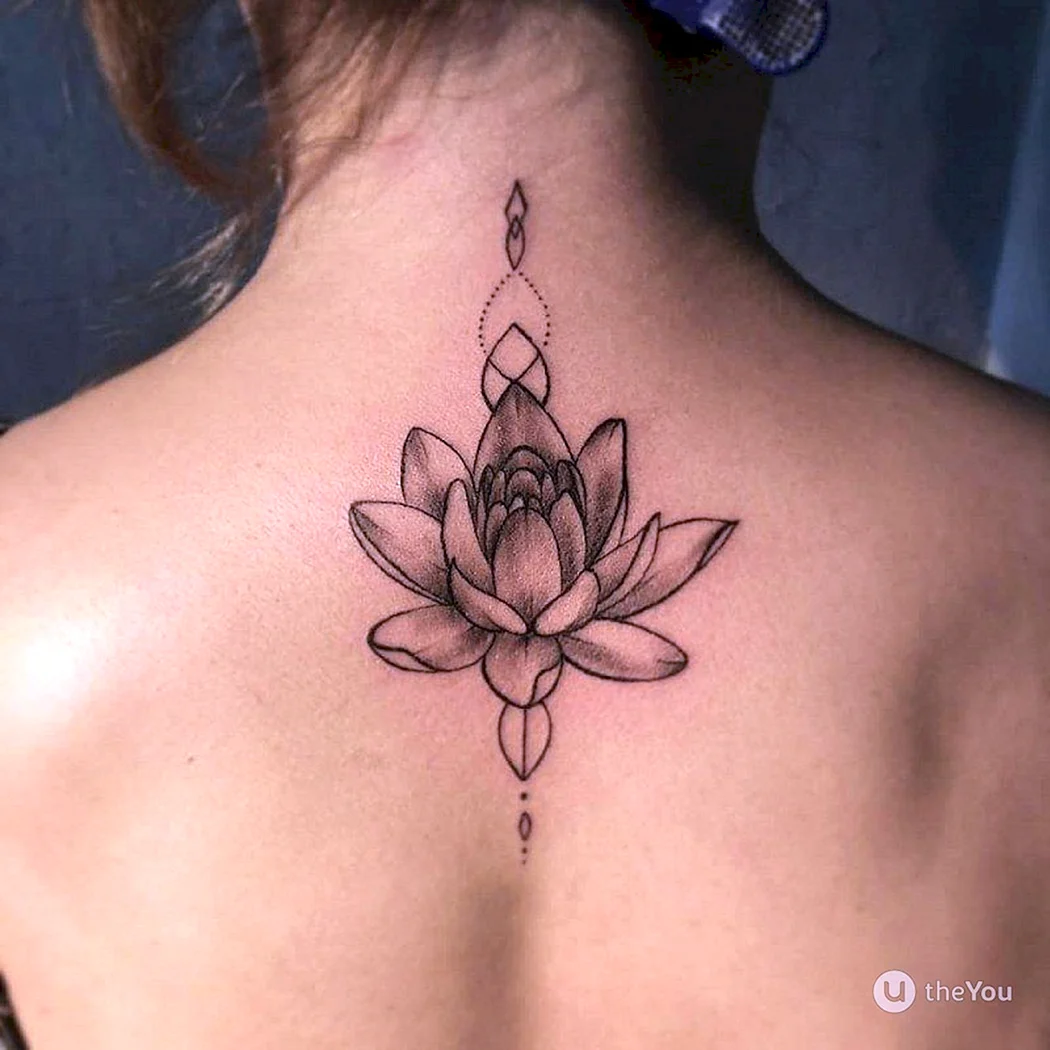 Лотос випшейдинг