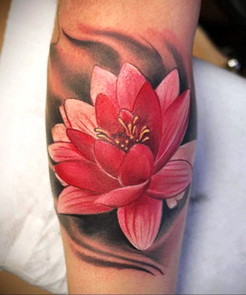 Цветок лотоса тату