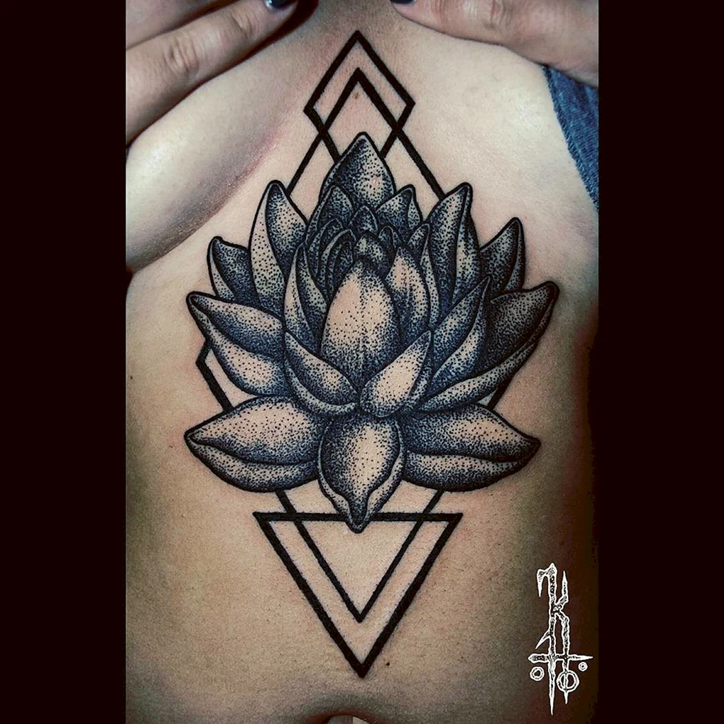 Лотос дотворк