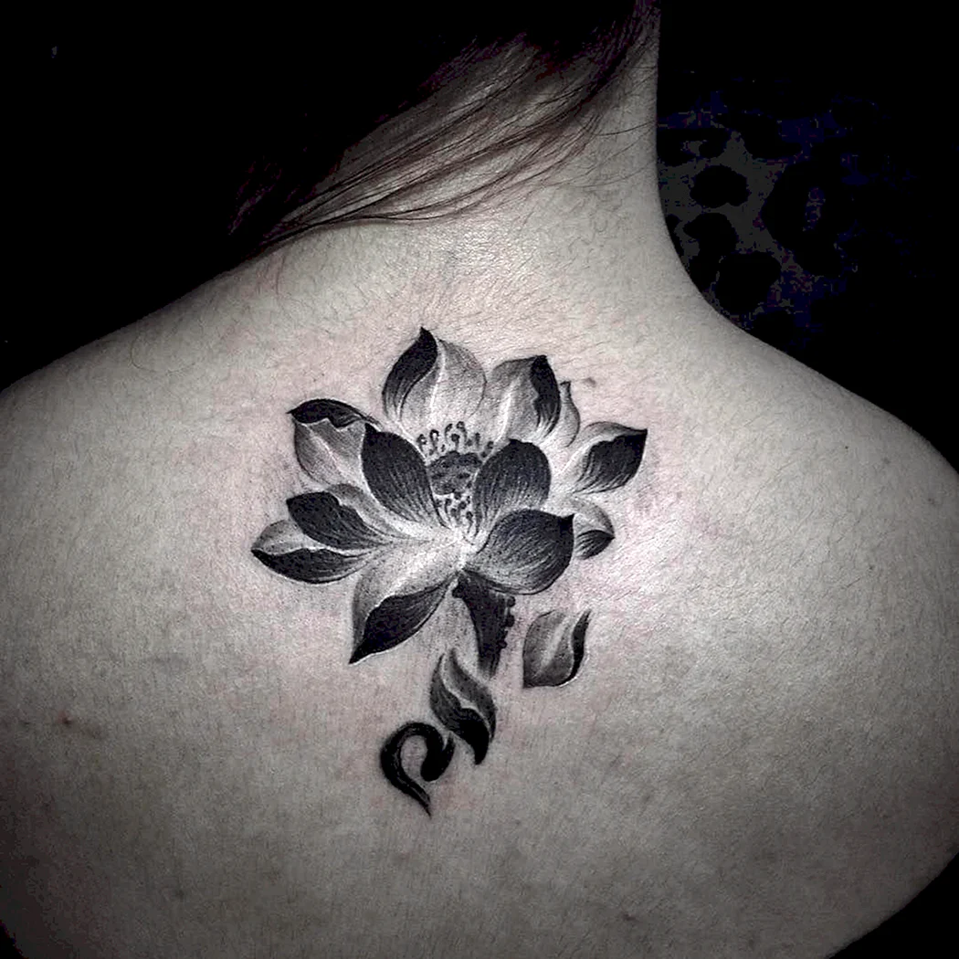 Тату Лотос темный