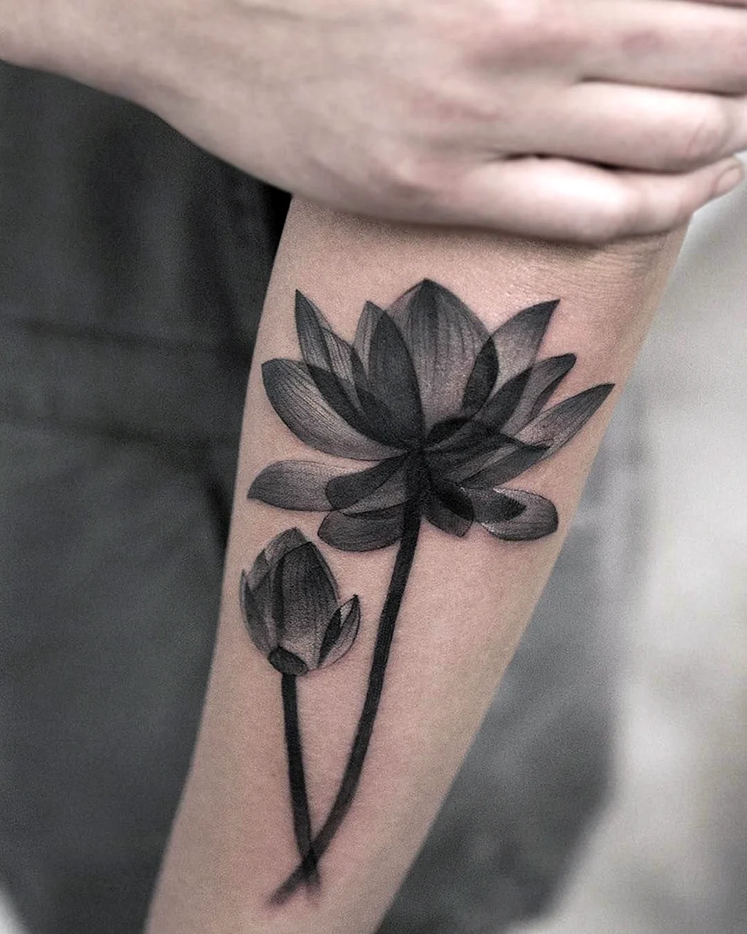 Черный Лотос тату