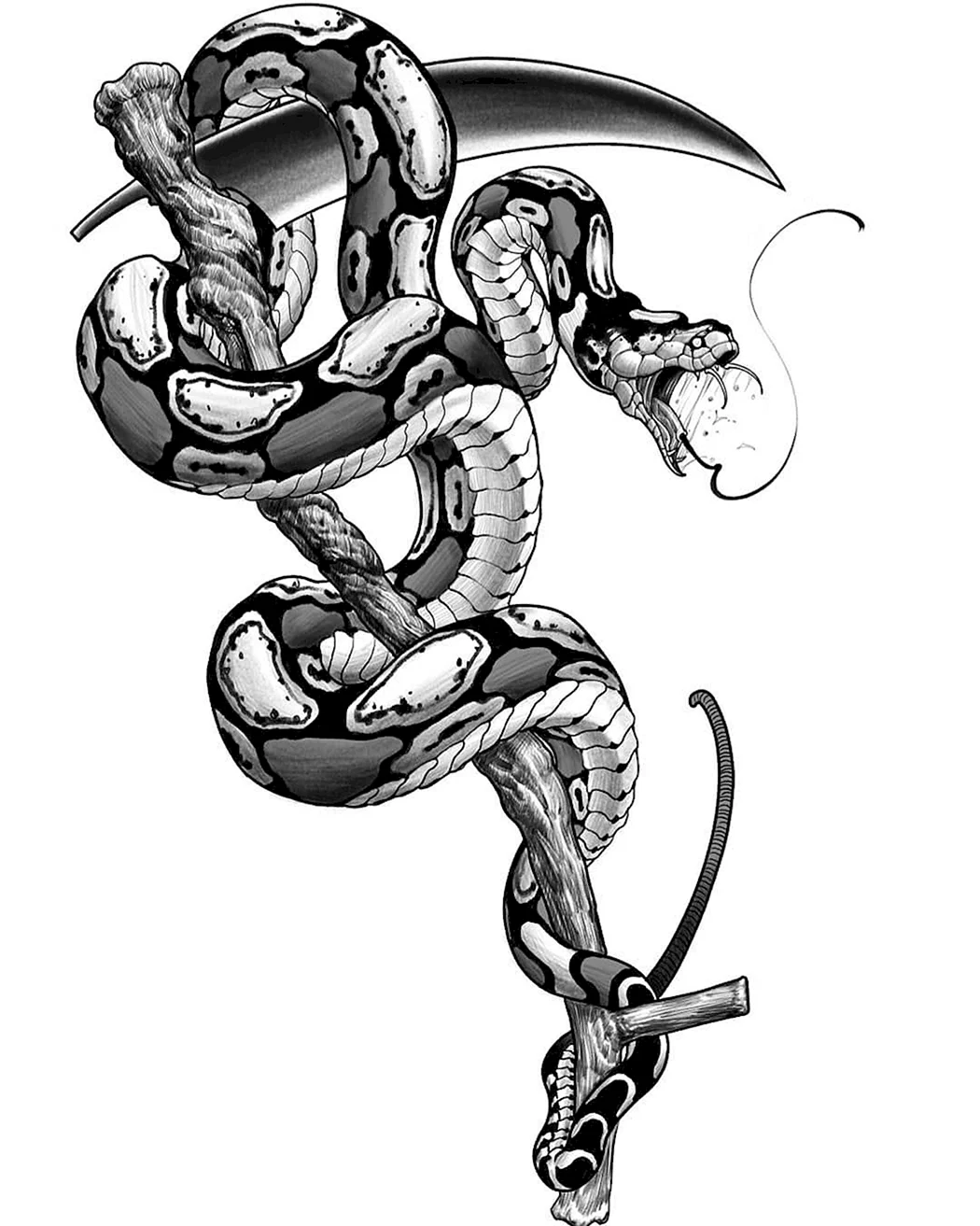 Тату скетч змея