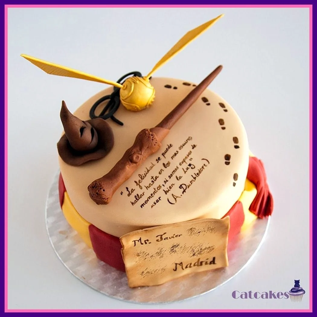 Муссовый торт Гарри Поттер