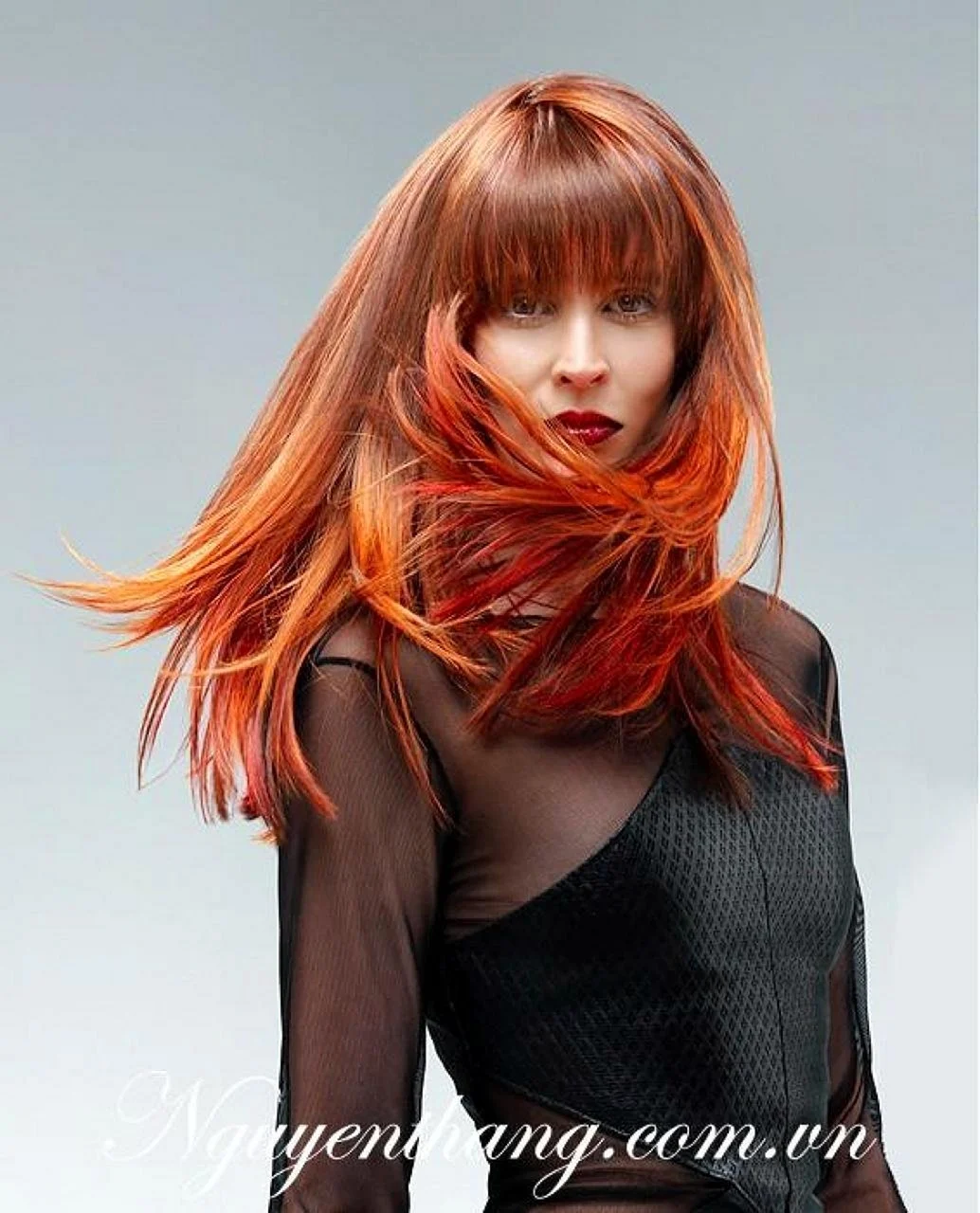 Тициан колорирование