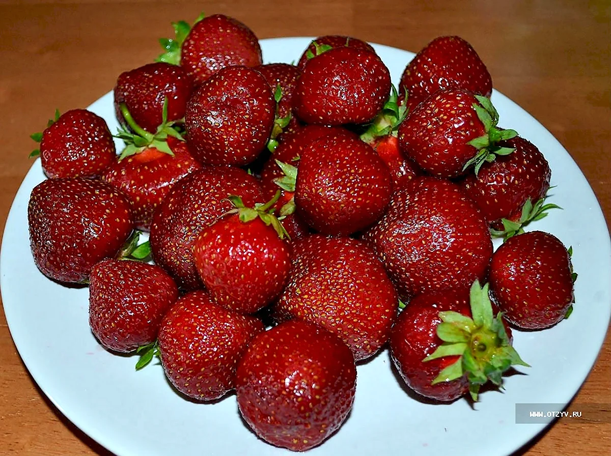 Ремонтантная клубника черный принц