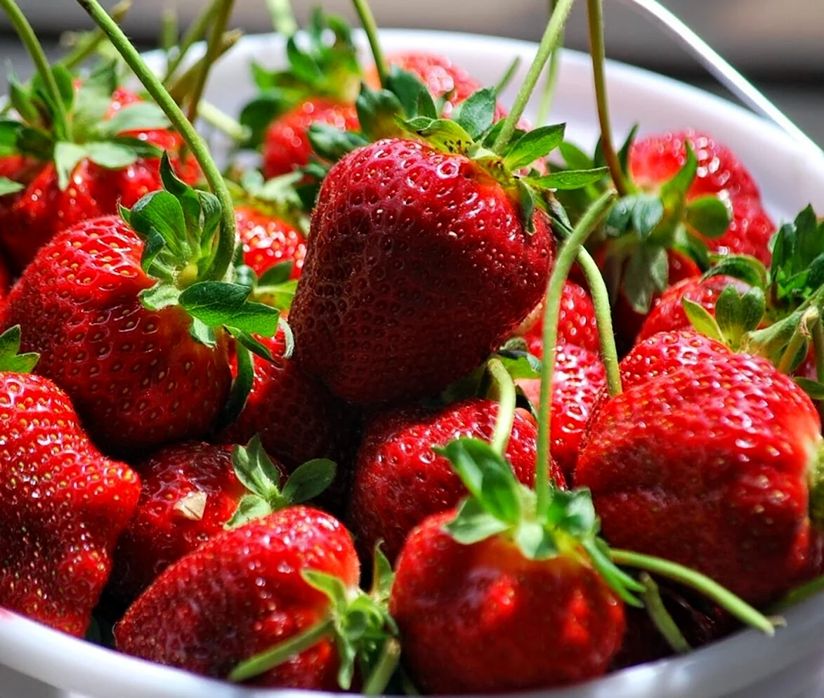 Клубника Хадемар