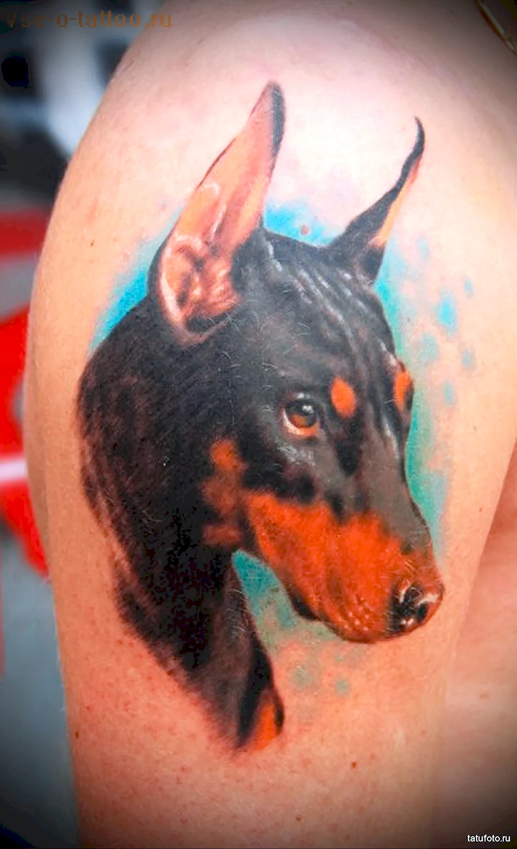 Тату Доберман на плече