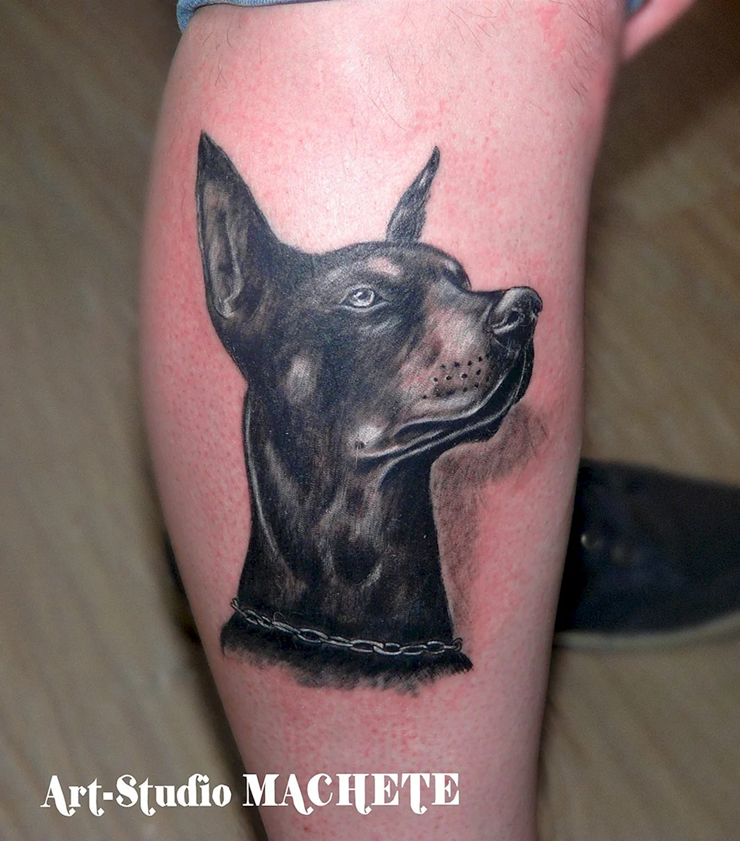 Тату собака Доберман