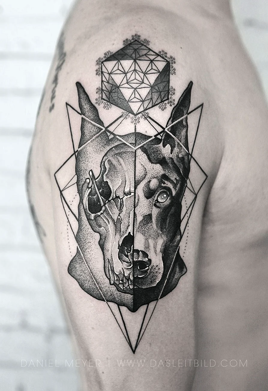 Доберман лайнворк