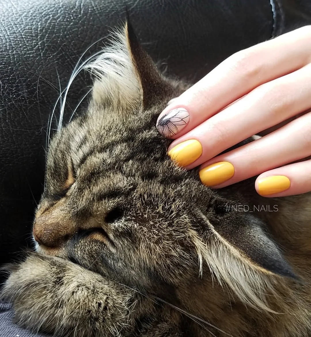 Красиво сфоткать маникюр