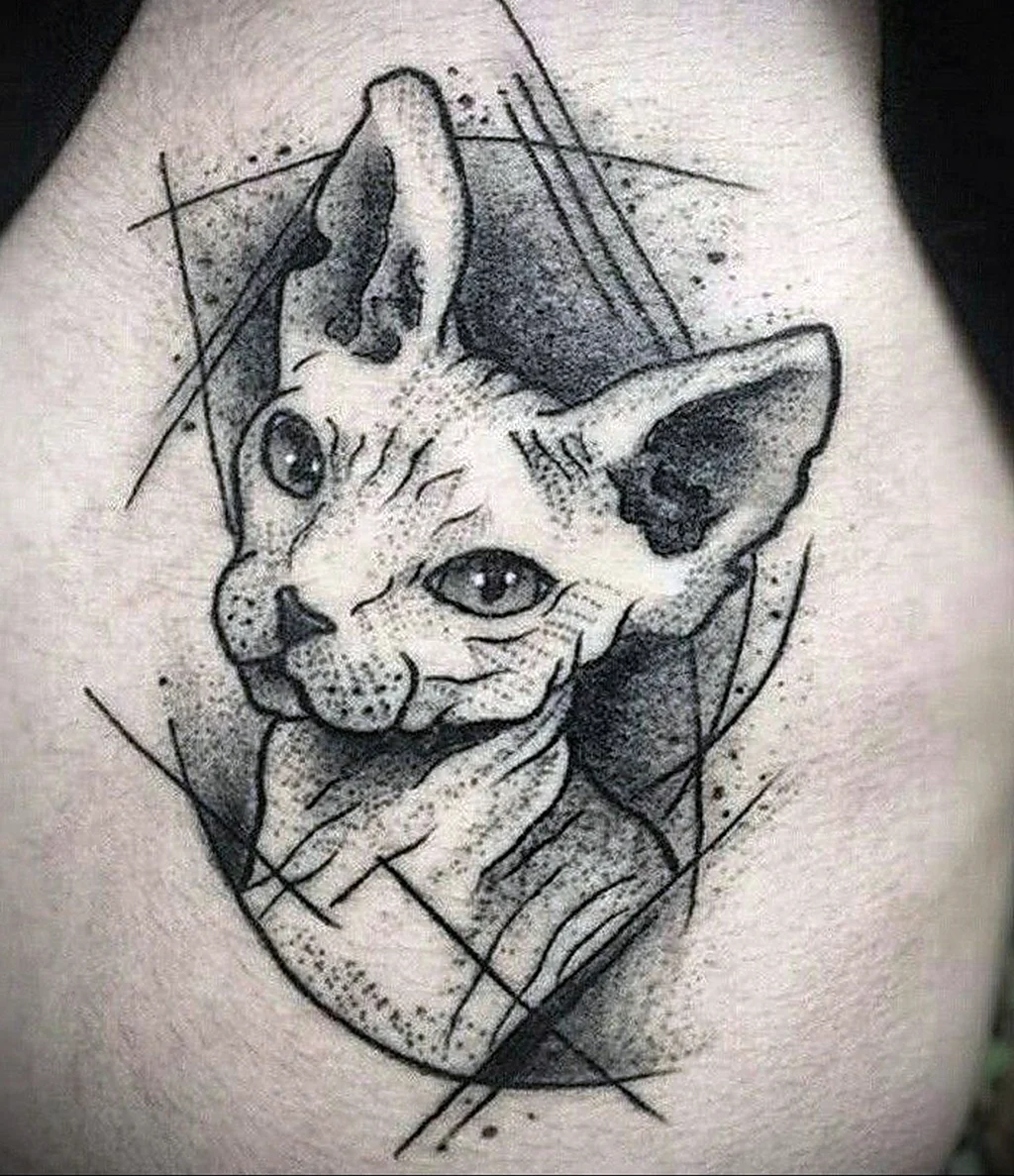 Сфинкс дотворк