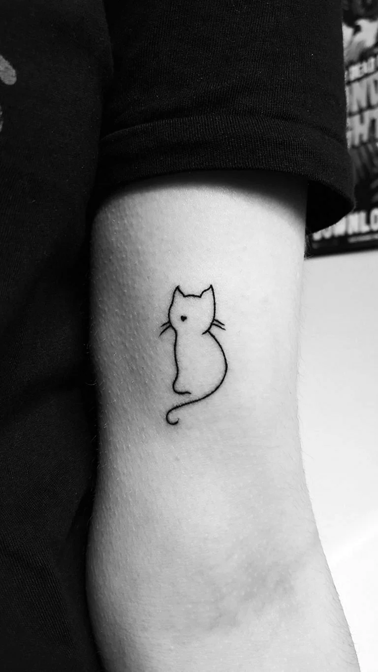 Тату кот Минимализм