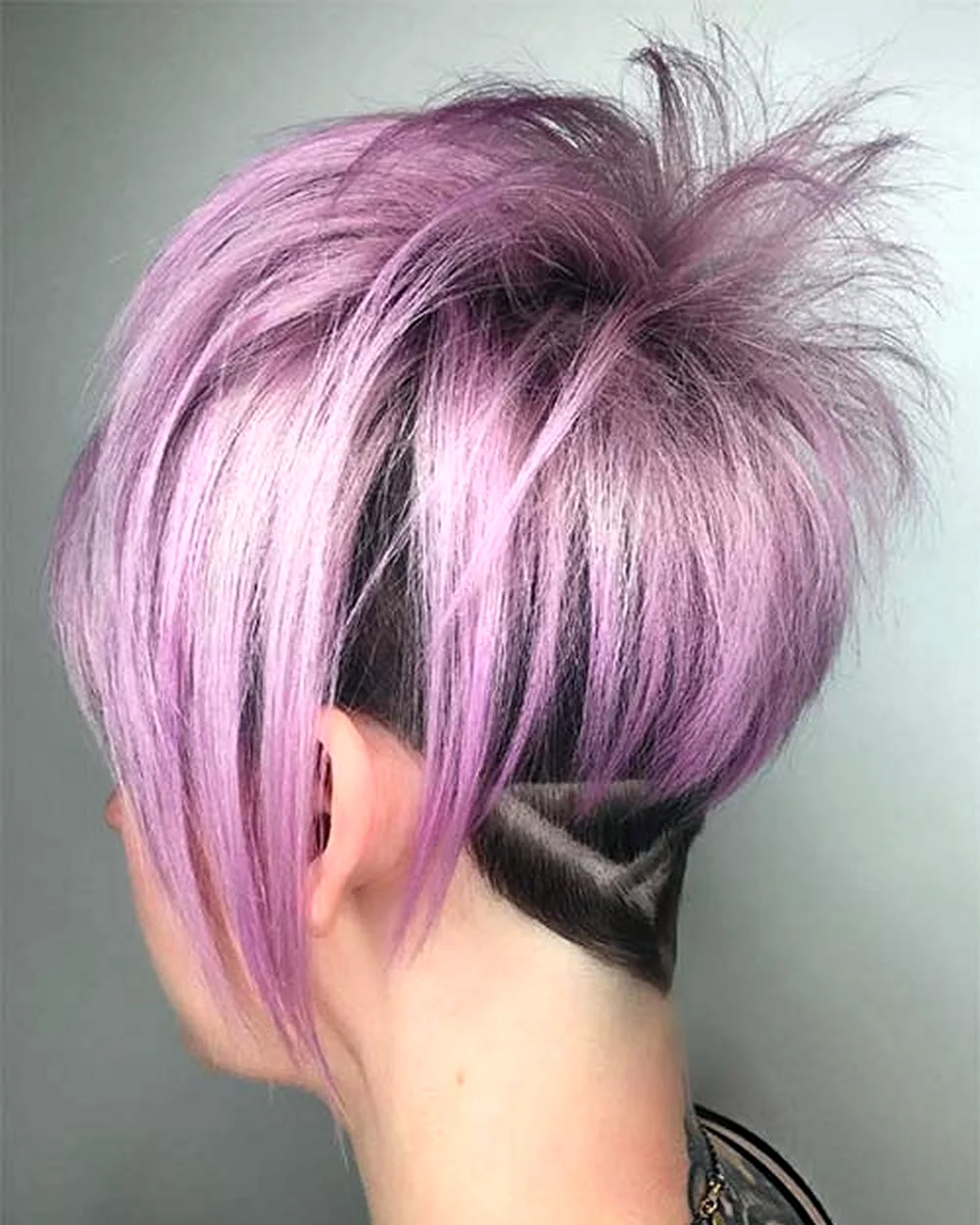 Фиолетовый Пикси Боб