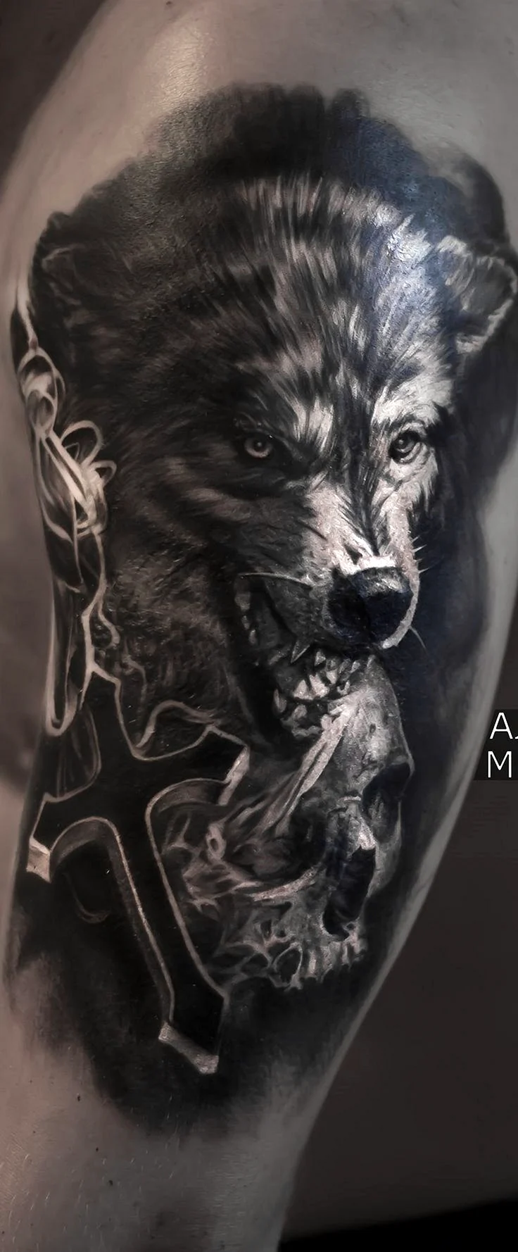 Тату Волков с оскалом