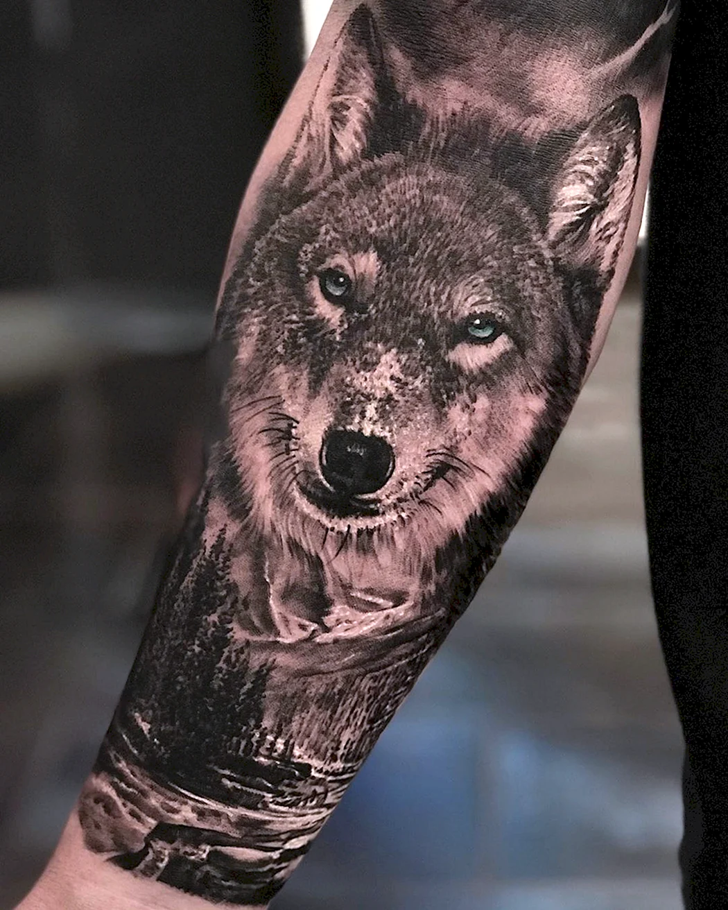 Тату волк