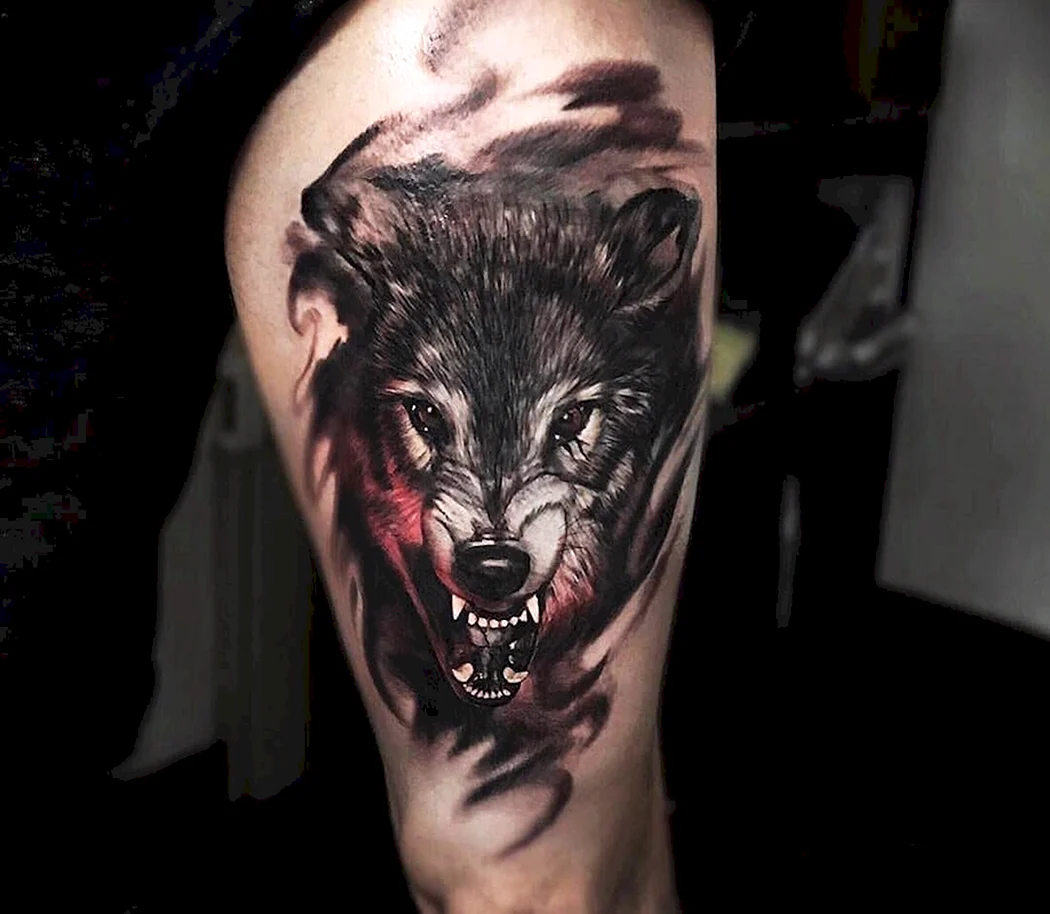 Тату оскал волка