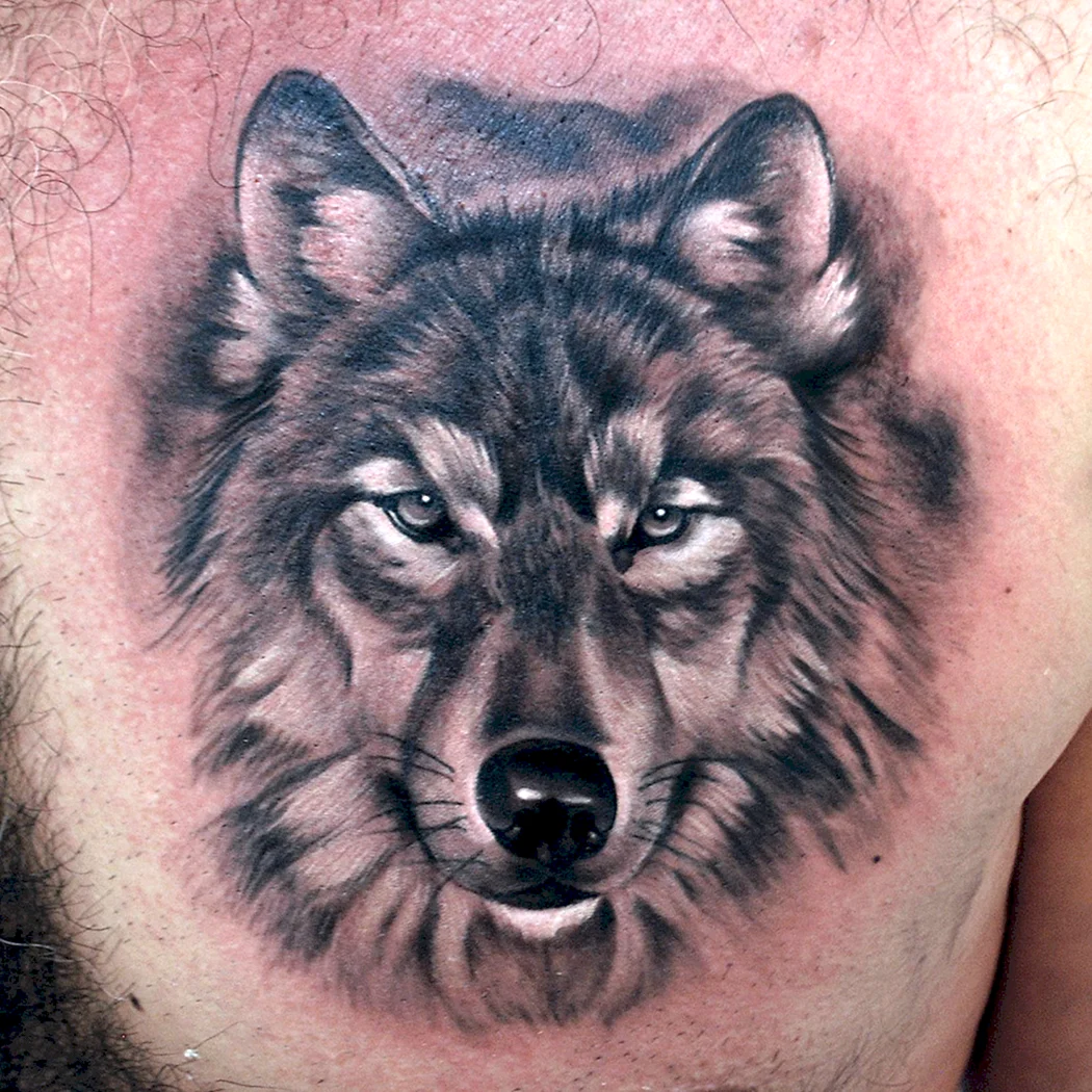 Вулф Вулф Вулф тату