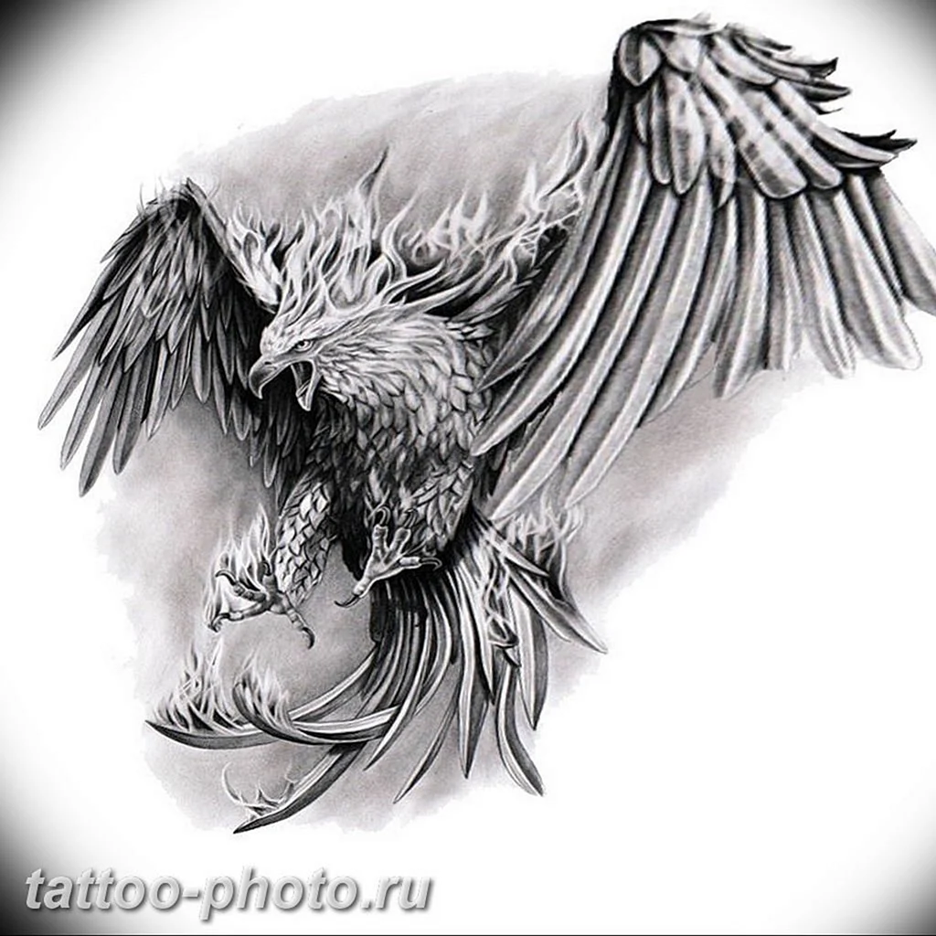 Орел Феникс тату