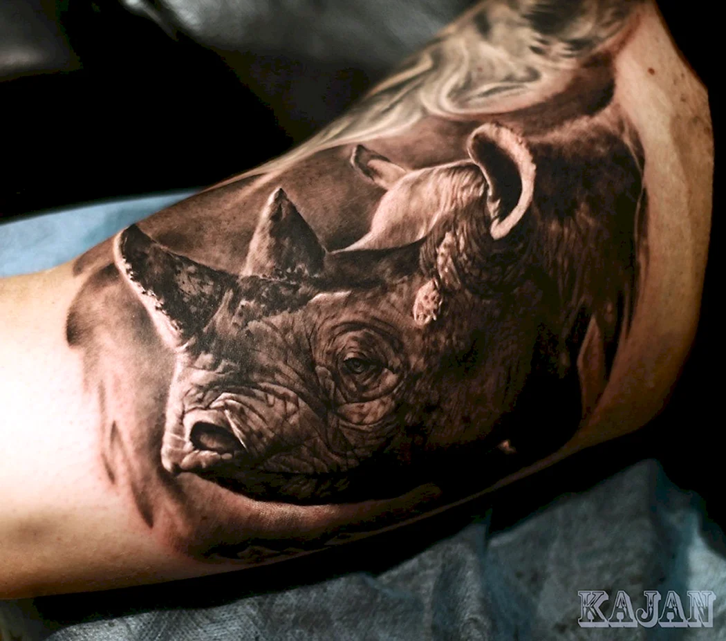 Тату носорог