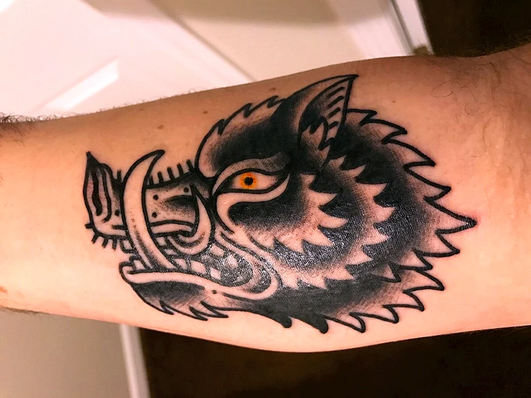 Тату кабан традишнл