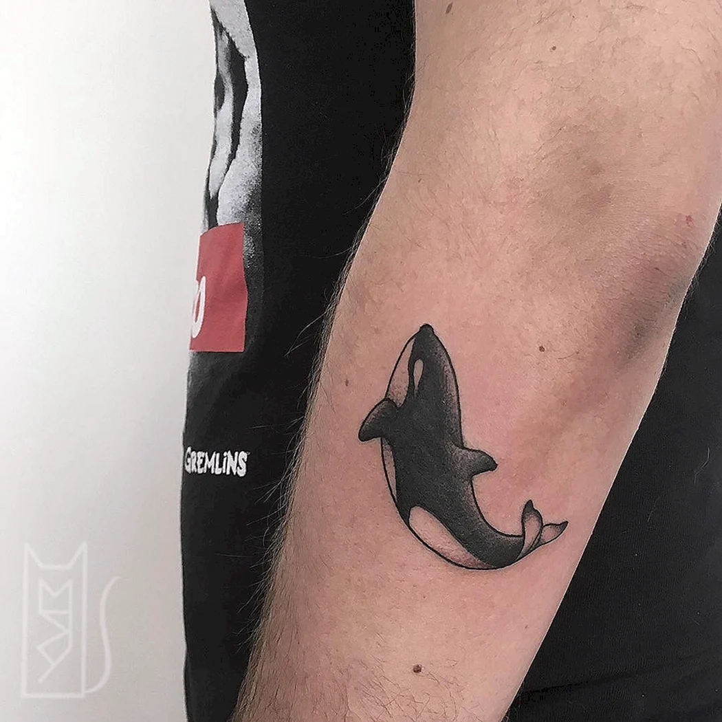 Тату Касатка на ноге