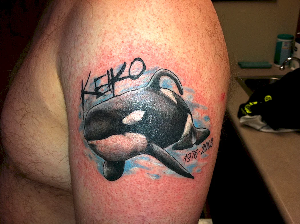 Лучшие тату касаток