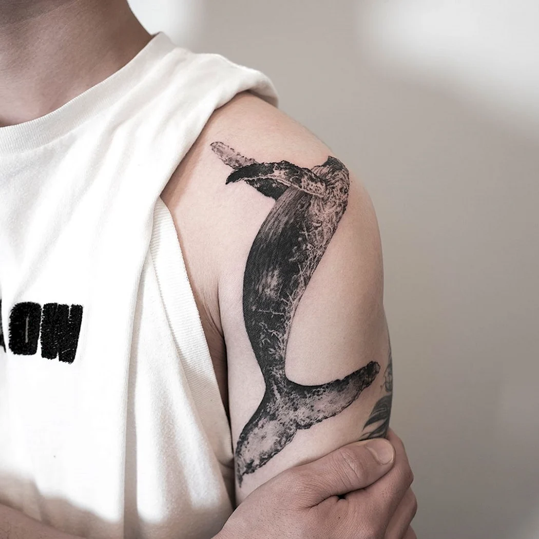 Тату Касатка