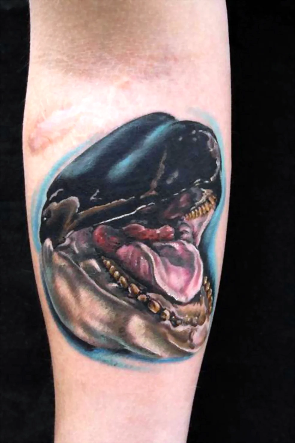 Череп кита тату