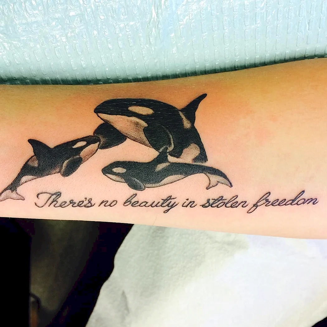 Тату Касатка на руке