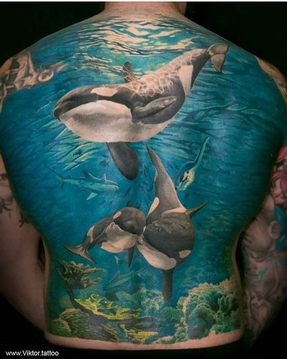 Тату кит Касатка