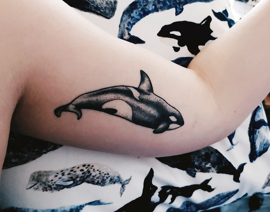 Тату Касатка