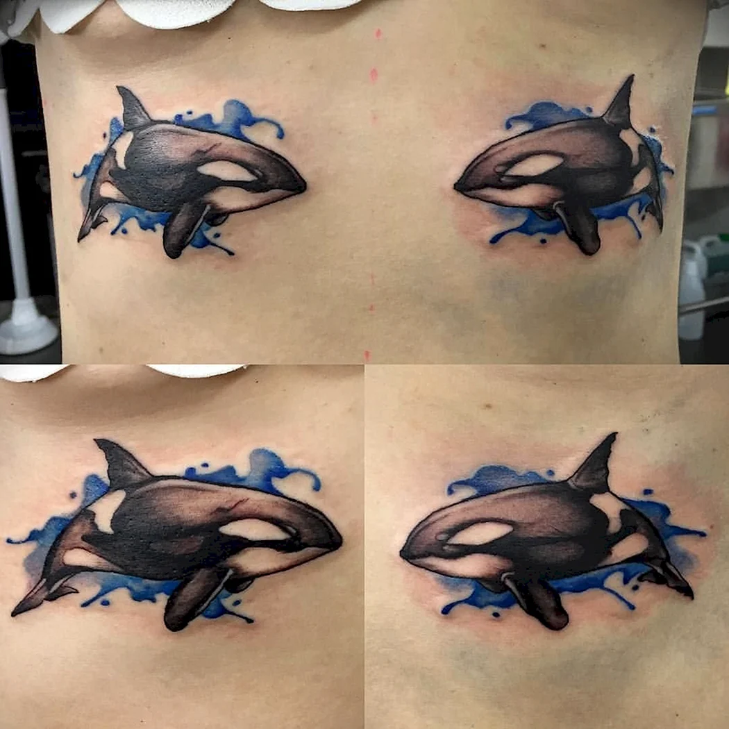 Тату Касатка