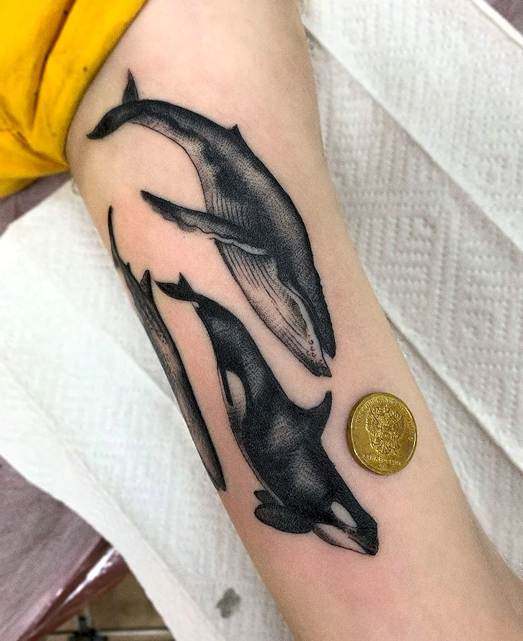 Тату кит Касатка