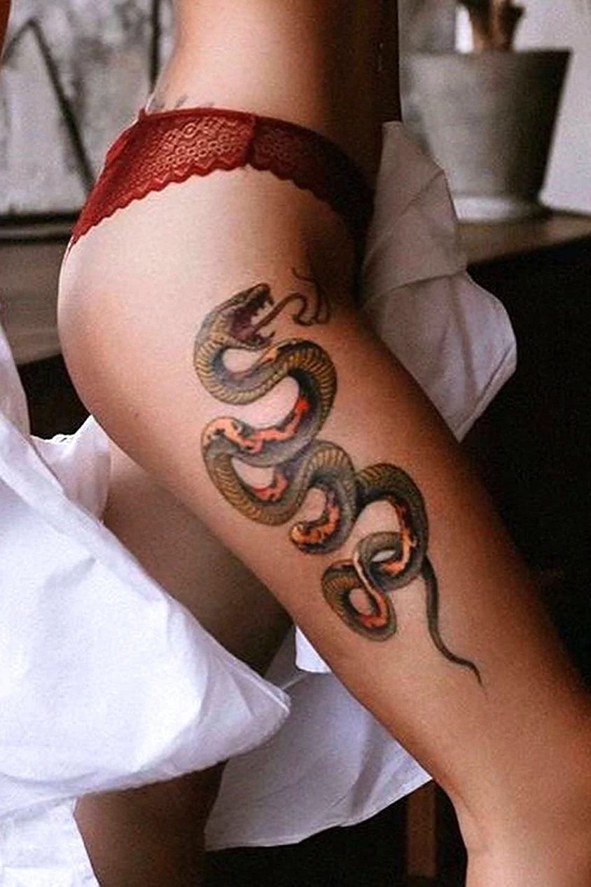 Красивая змея тату