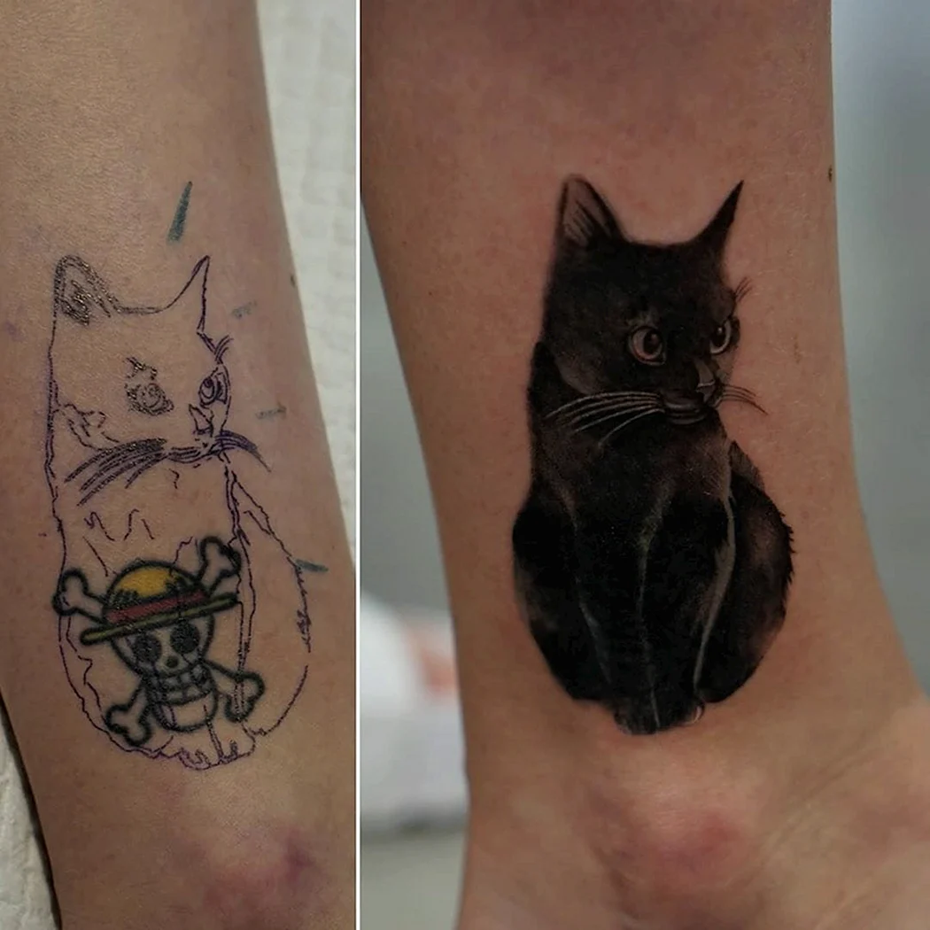Кот партак