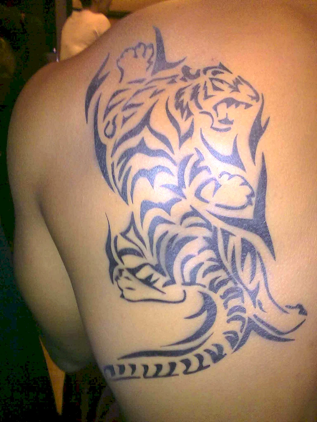 Тигр тату трайбл на лопатке
