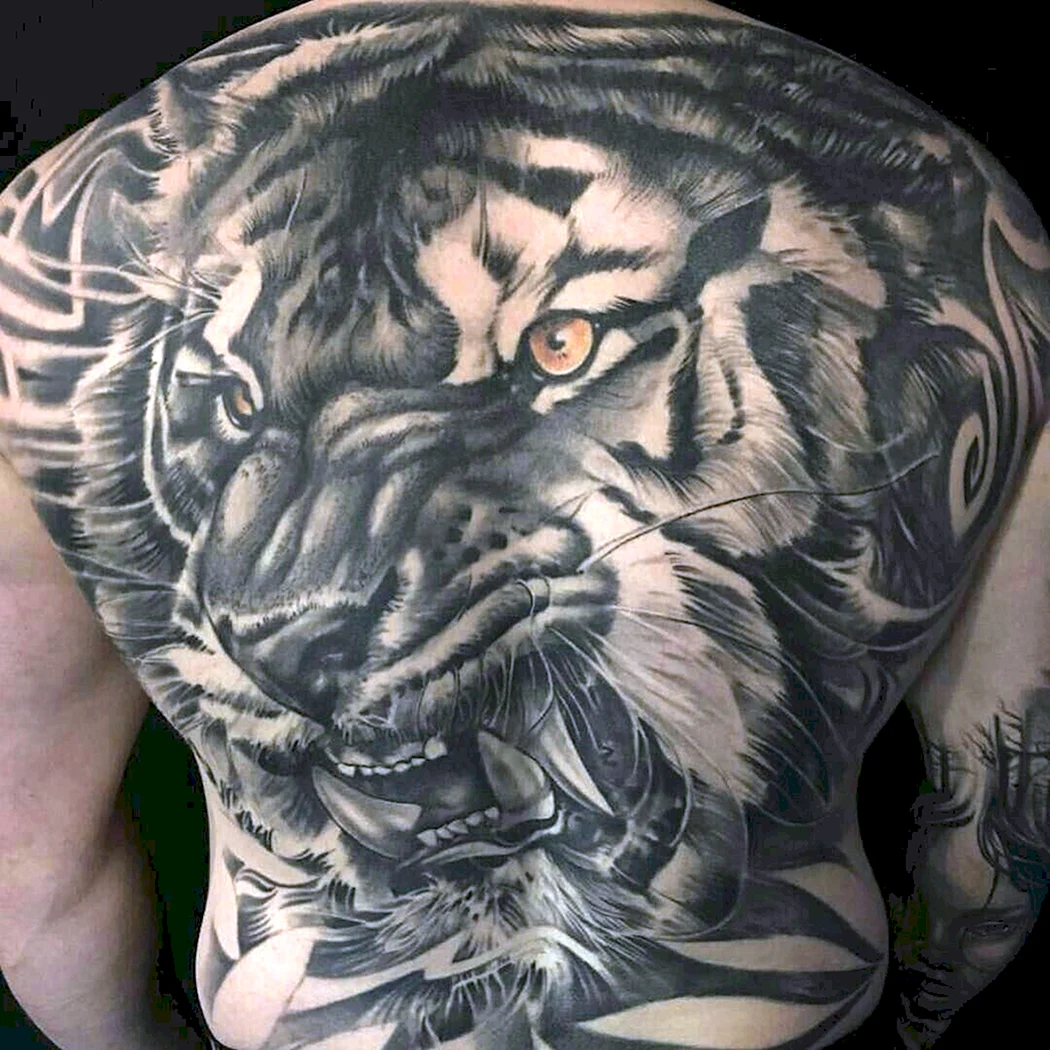 Тату тигр на спине