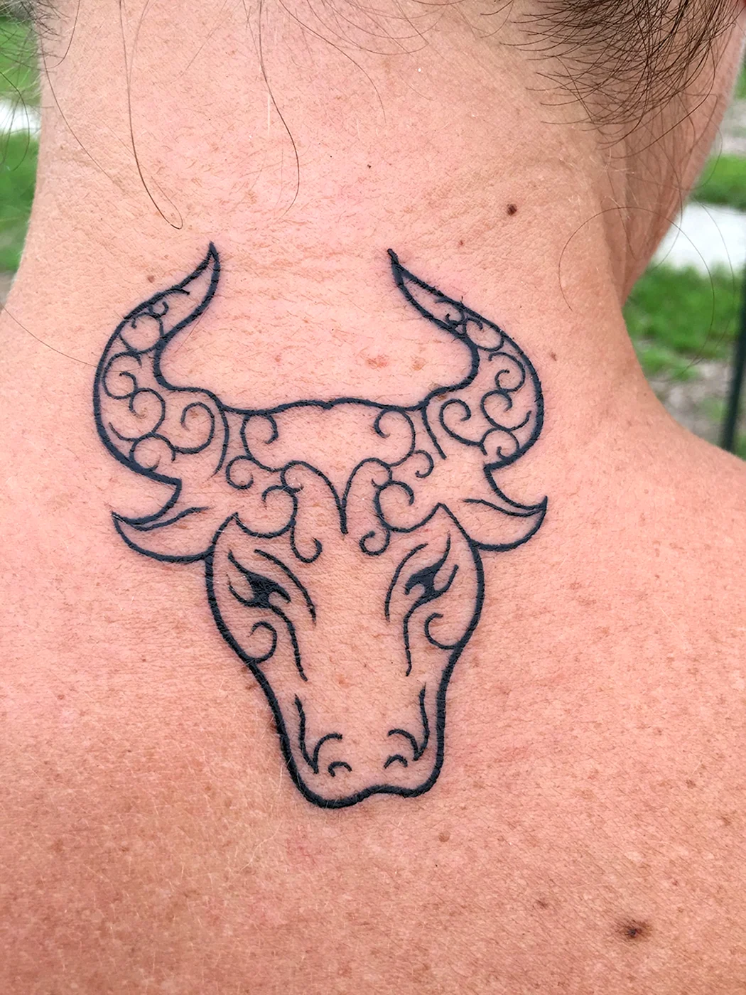 Телец Taurus бык тату