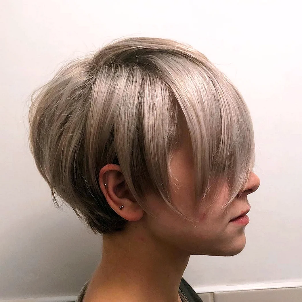 Пикси-Боб стрижка 2022