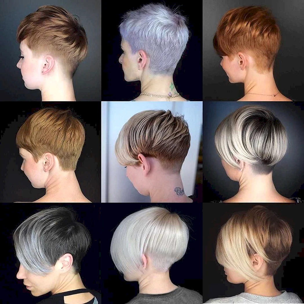 Пикси Боб сзади