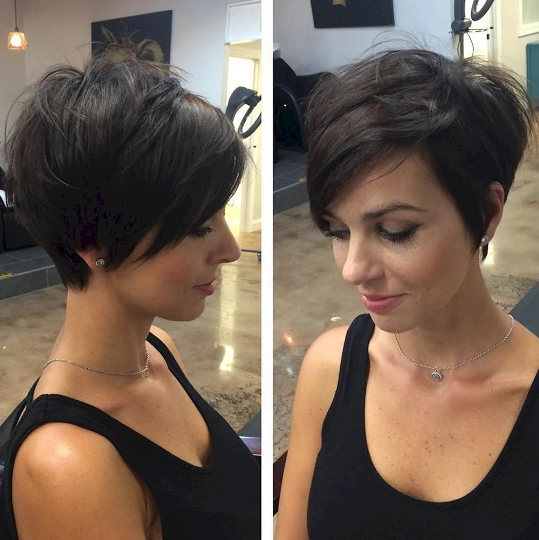 Стрижка Лонг пиксибоб