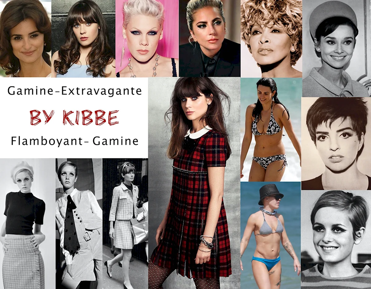 Твигги гамин