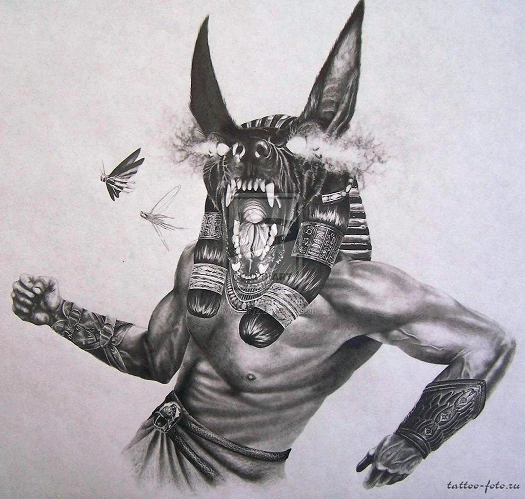 Анубис анфас