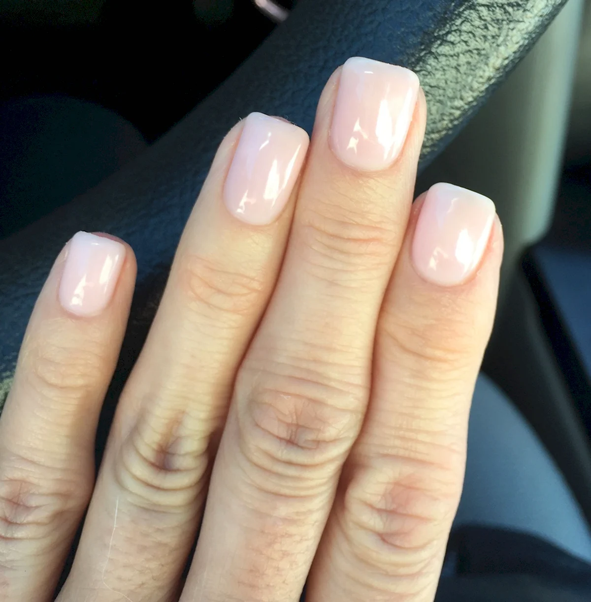 Shellac negligee