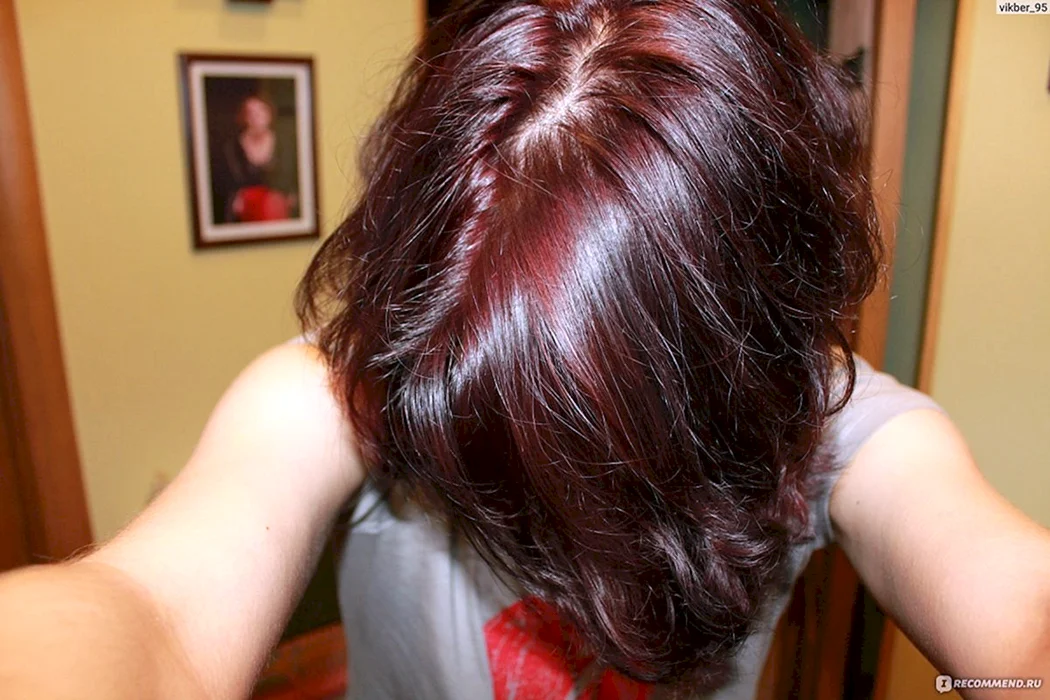 Эстель краска Дикая вишня