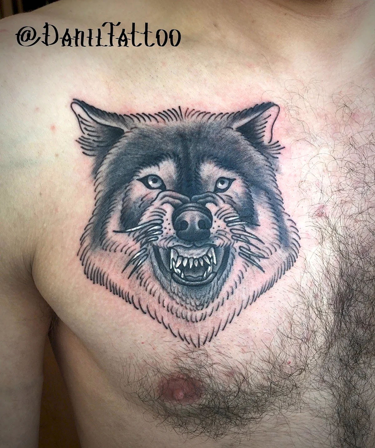Тату оскал волка на грудине