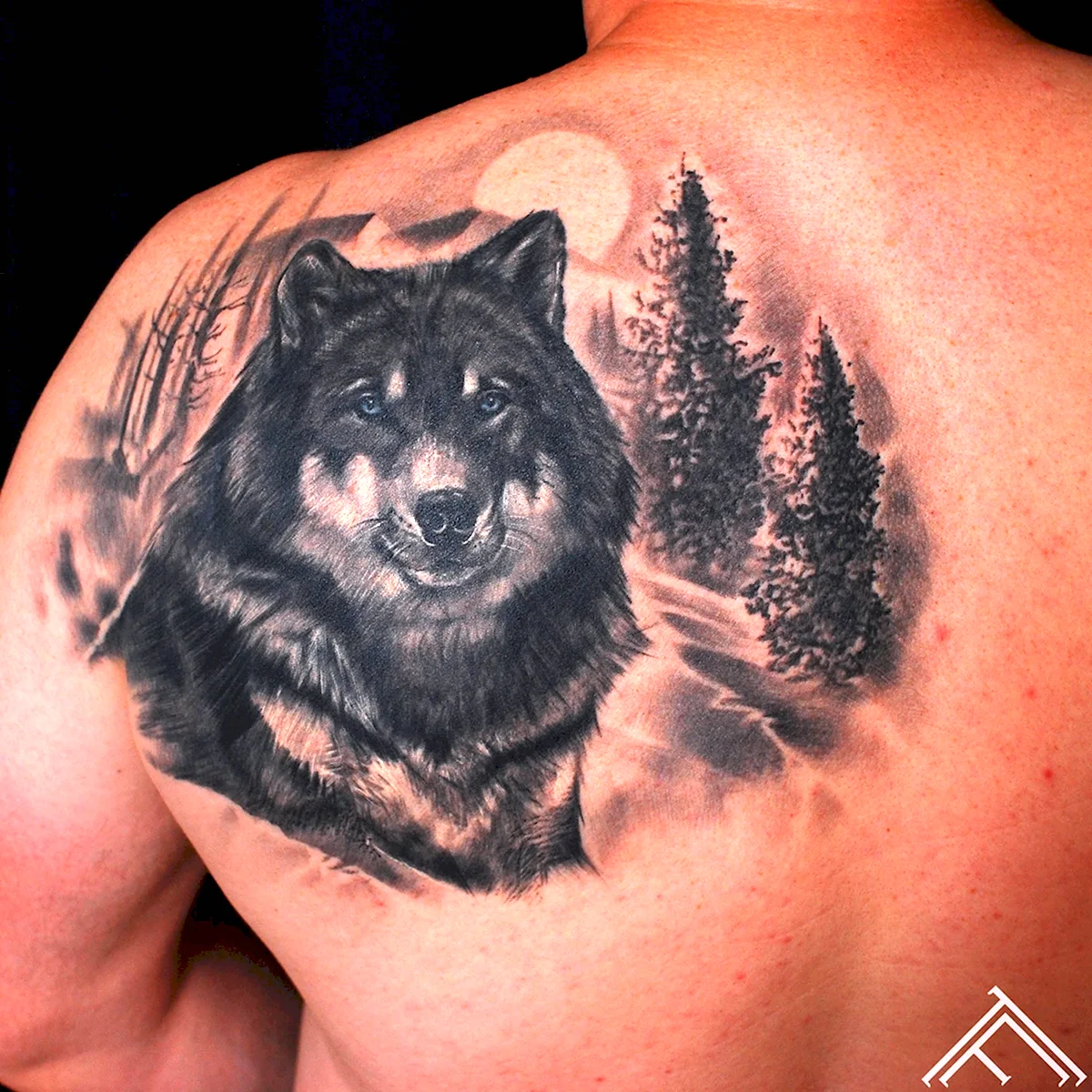 Тату волка на лопатке