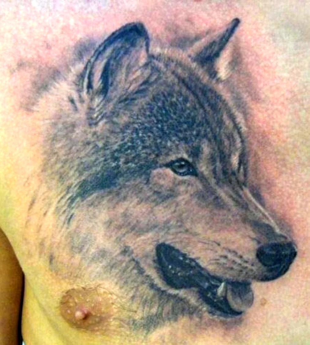 Татуировка волка на груди