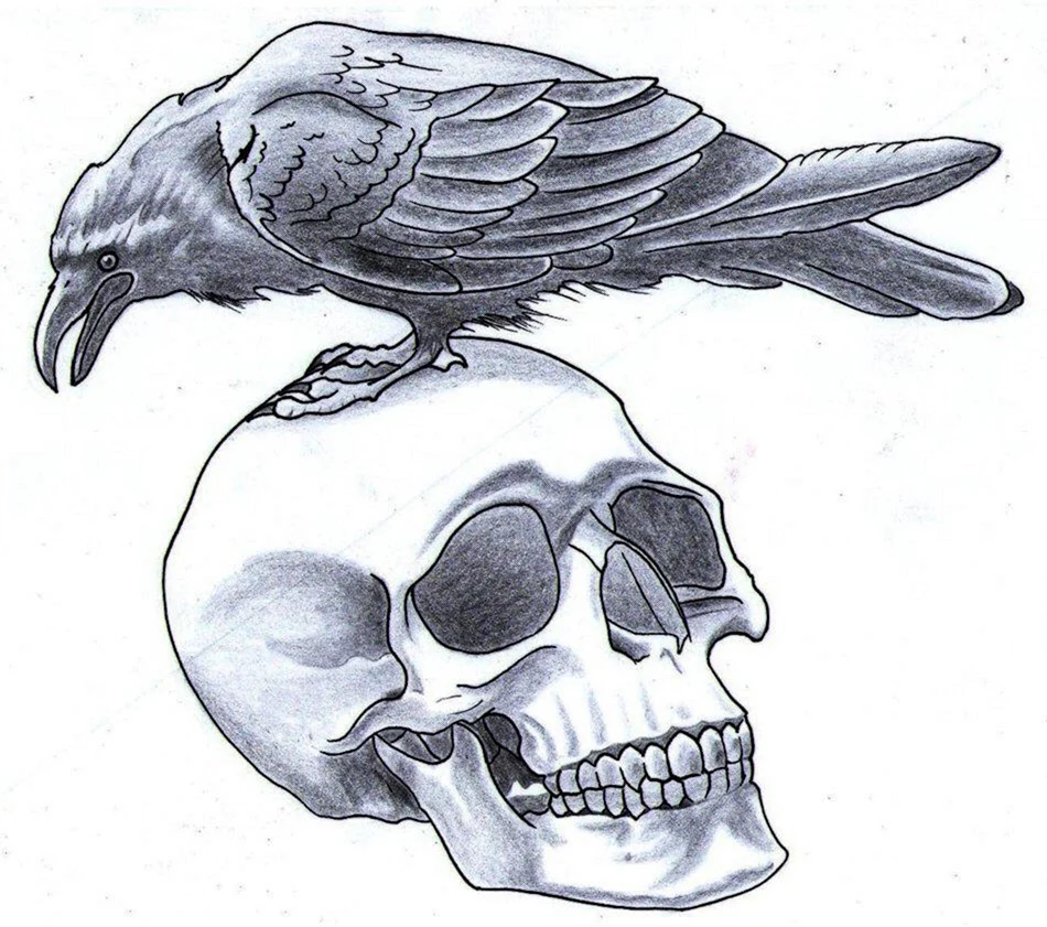 Ворон на черепе