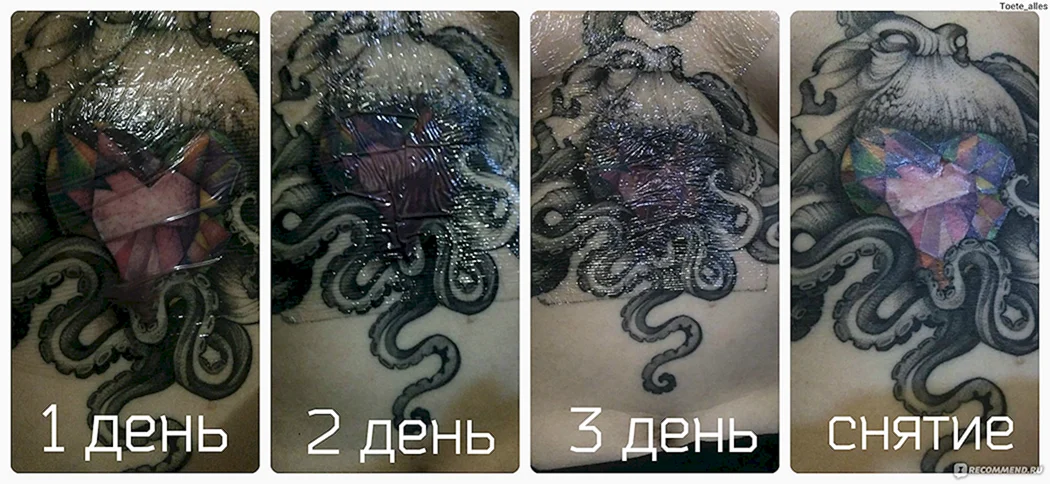Тату до и после заживления